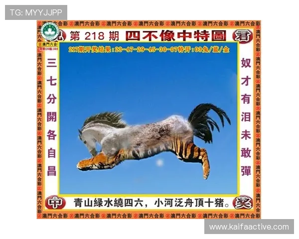 探索K8.com凯发网页版最新优惠活动与丰富的线上娱乐资源指南